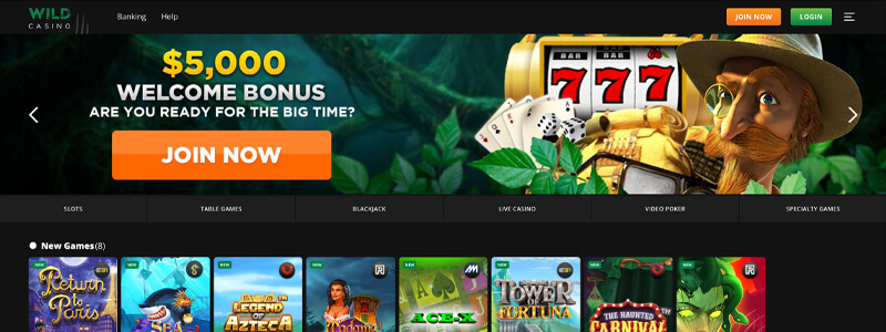 Best Slots Casinos Online Wild Casino Screenshot